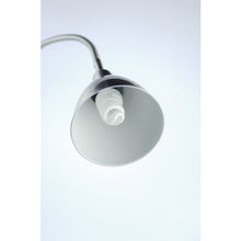 closeup of flexi vision floor lamp bulb